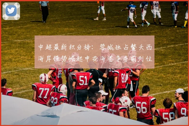 中超最新积分榜:蓉城独占鳌头西海岸强势崛起申花海港争夺前列位置